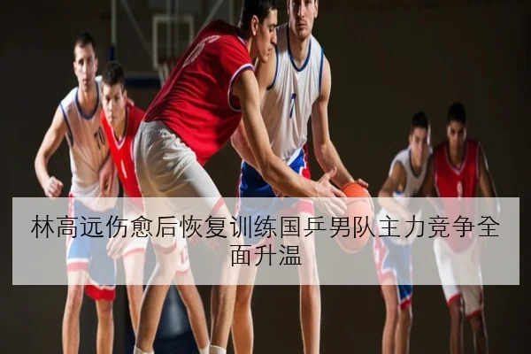 林高远伤愈后恢复训练国乒男队主力竞争全面升温